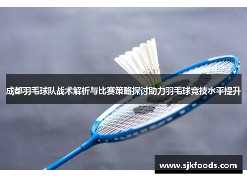 成都羽毛球队战术解析与比赛策略探讨助力羽毛球竞技水平提升
