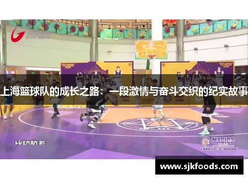 上海篮球队的成长之路：一段激情与奋斗交织的纪实故事