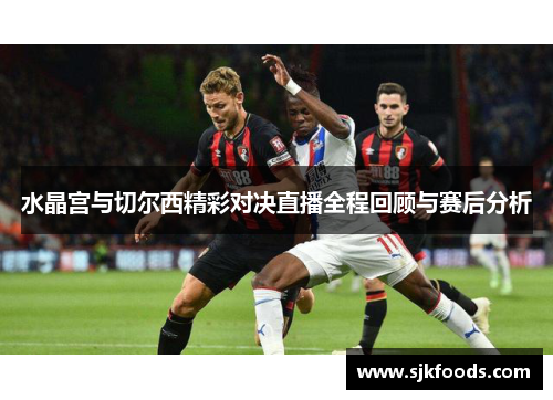 水晶宫与切尔西精彩对决直播全程回顾与赛后分析